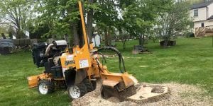 Stump Grinder