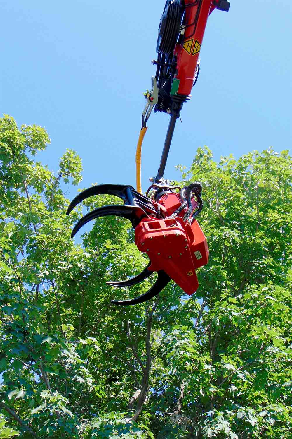 tree crane use in removal