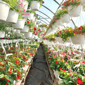 Hanging Flower Baskets for Mother's Day