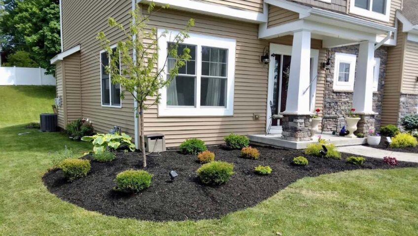 Front Yard Landscaped